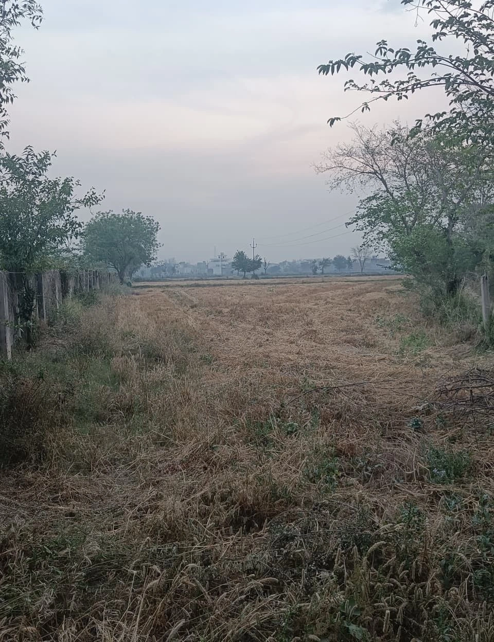Bilond, Rajasthan 321022, India