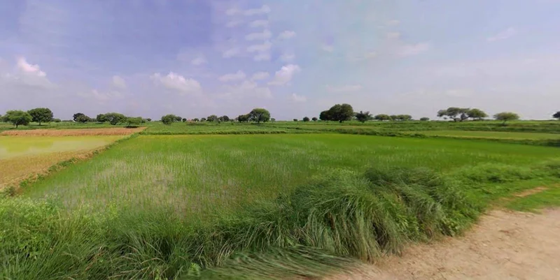 Barpeta, Assam, India preview 2