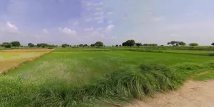 Barpeta, Assam, India preview 2