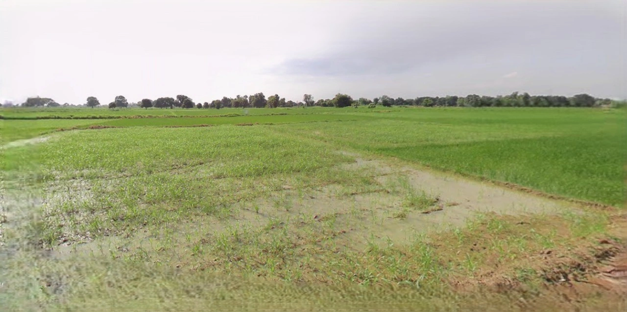 Suratgarh, Rajasthan 335804, India