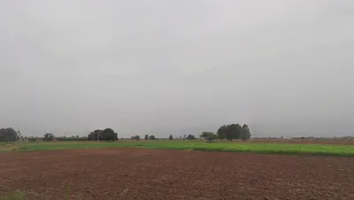 Nakodar, Punjab 144040, India preview 2