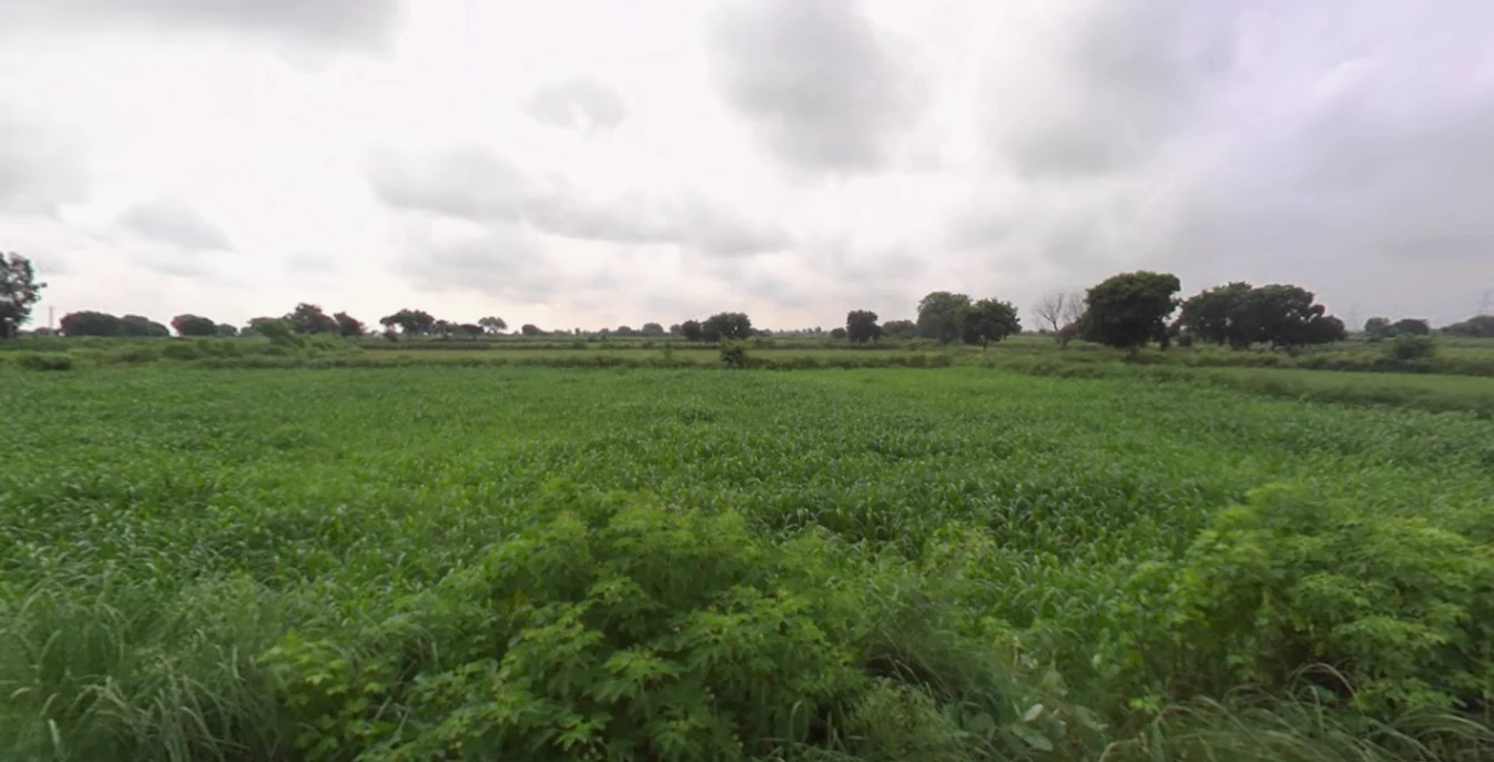 Khudaganj, Uttar Pradesh 242305, India