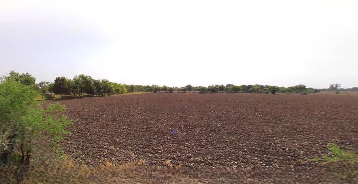 Milak, Uttar Pradesh 244701, India