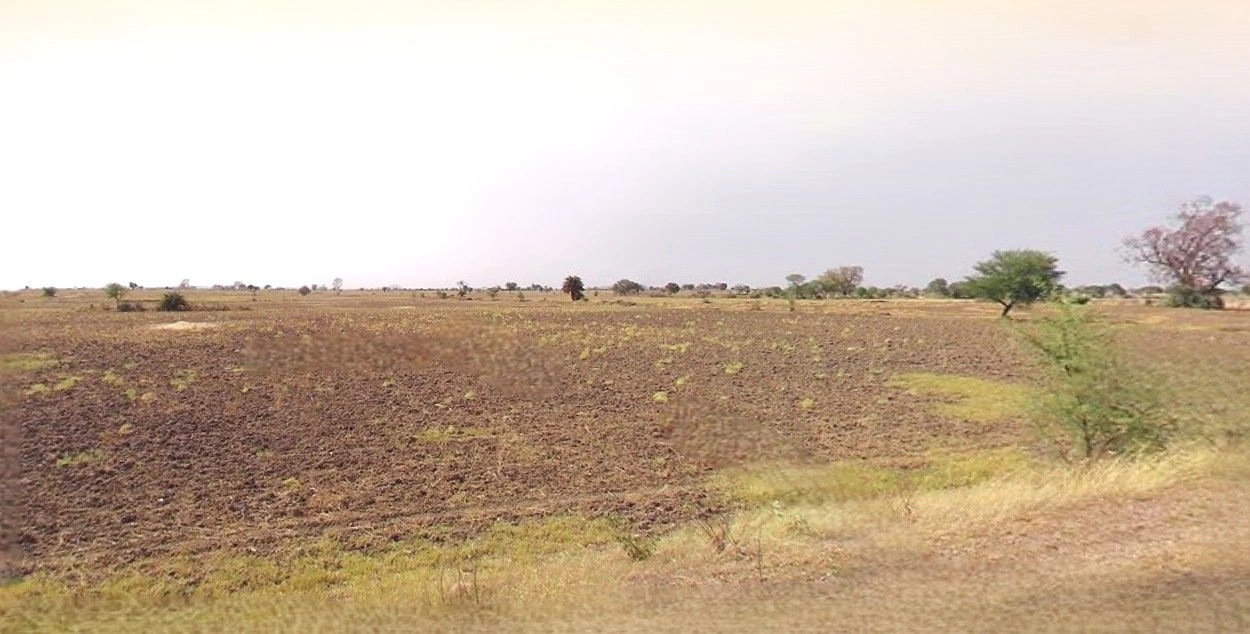 Bisauli, Uttar Pradesh 243720, India