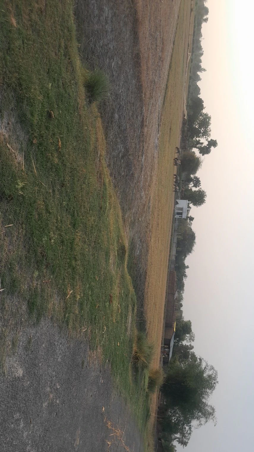 R44C+R3 Fatehpur Saraiya Manjh, Uttar Pradesh, India