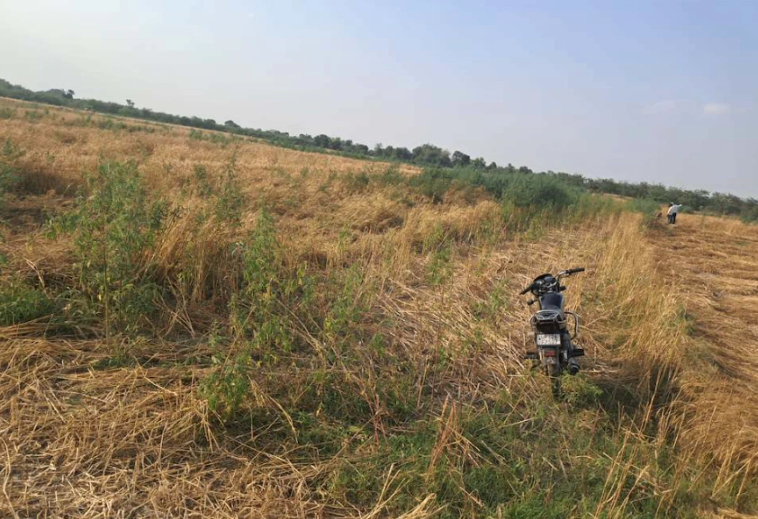Barnagar, Madhya Pradesh 456771, India
