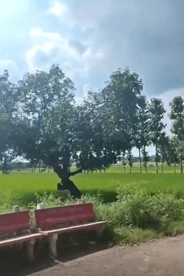 Maktapar, Gorakhpur, Uttar Pradesh 273209, India