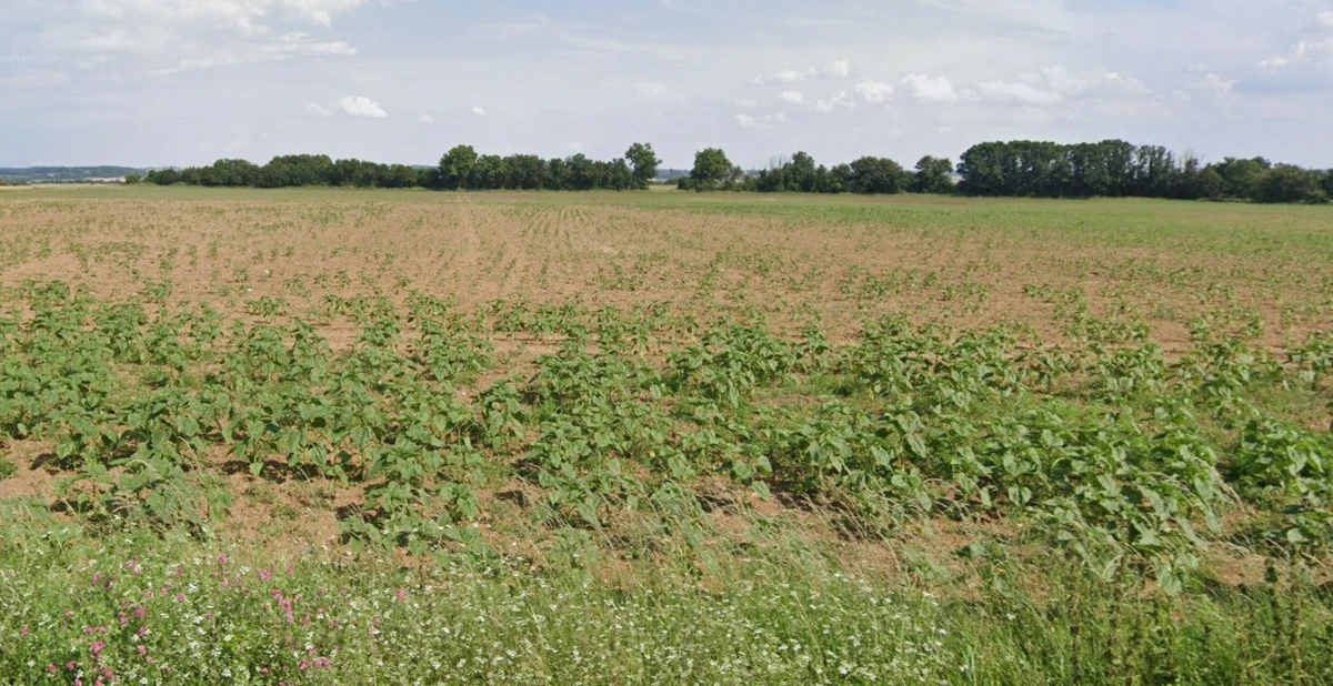 Geedgarh, Madhya Pradesh 456335, India