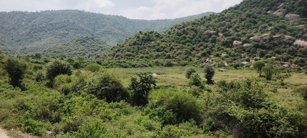Dadhikar, Rajasthan 301001, India