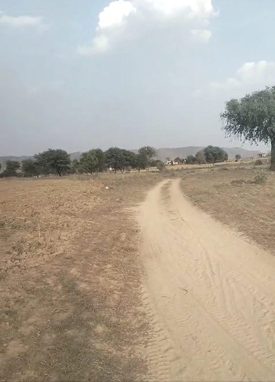 29F3+JJ Kableshwar, Rajasthan, India