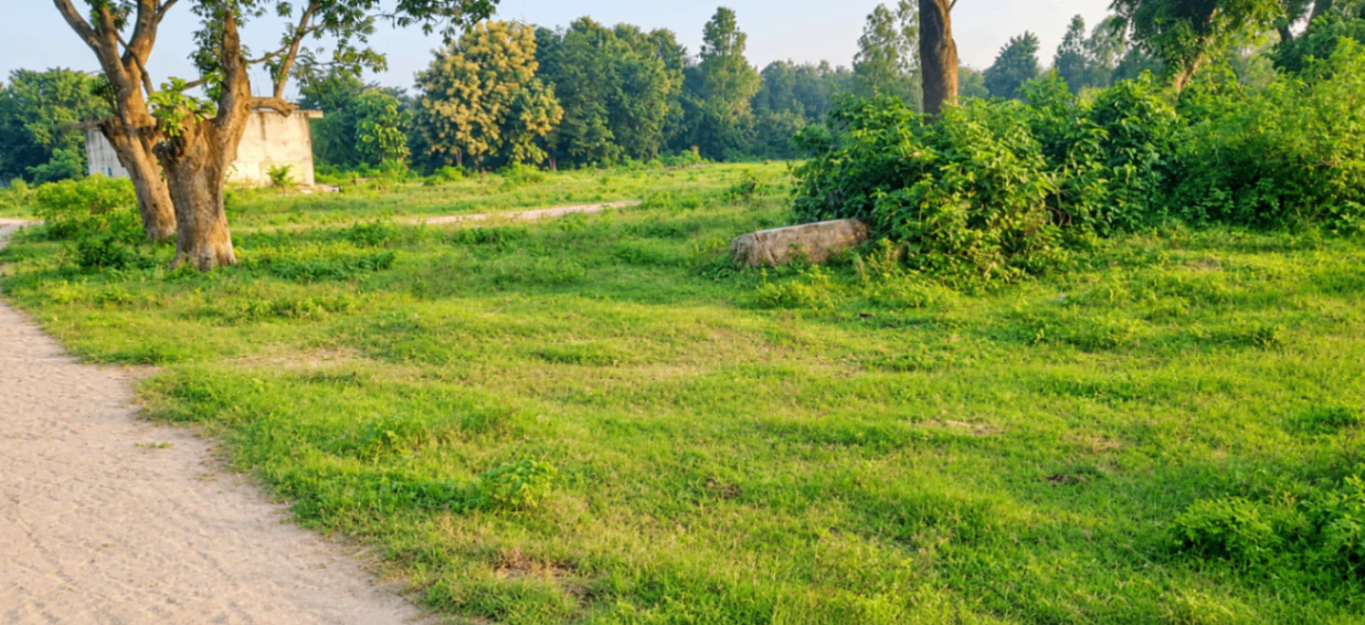 Soraon, Prayagraj, Uttar Pradesh, India