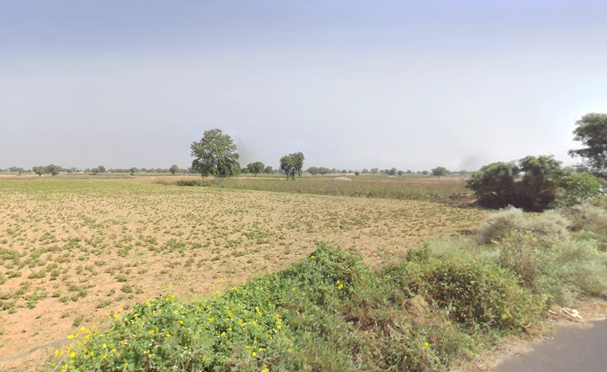 Tarkan Wali, Haryana 125110, India