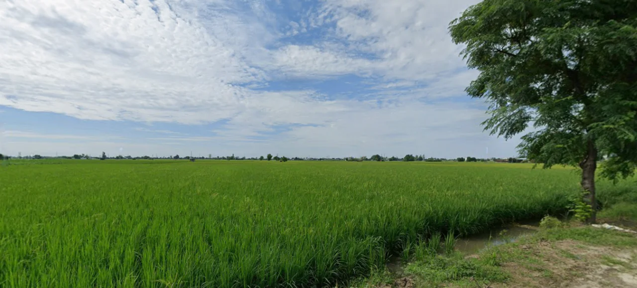 Chohan, Punjab 143149, India preview 2