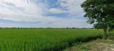 Chohan, Punjab 143149, India preview 2