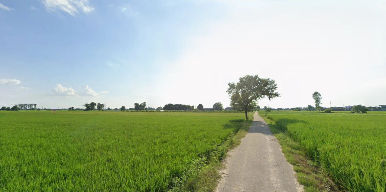 Jandiala, Punjab 143115, India