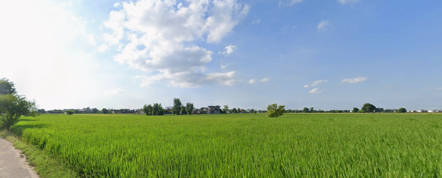 Tangra, Punjab, India