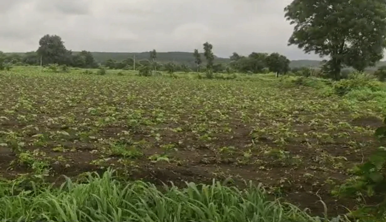3JQV+5F Ladella, Hanumakonda, Telangana, India