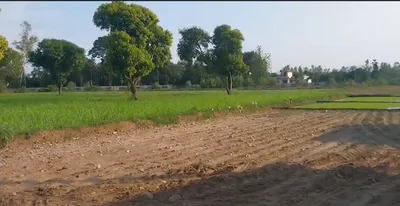 4GF9+F6P, Bhopal, Madhya Pradesh, India preview 2