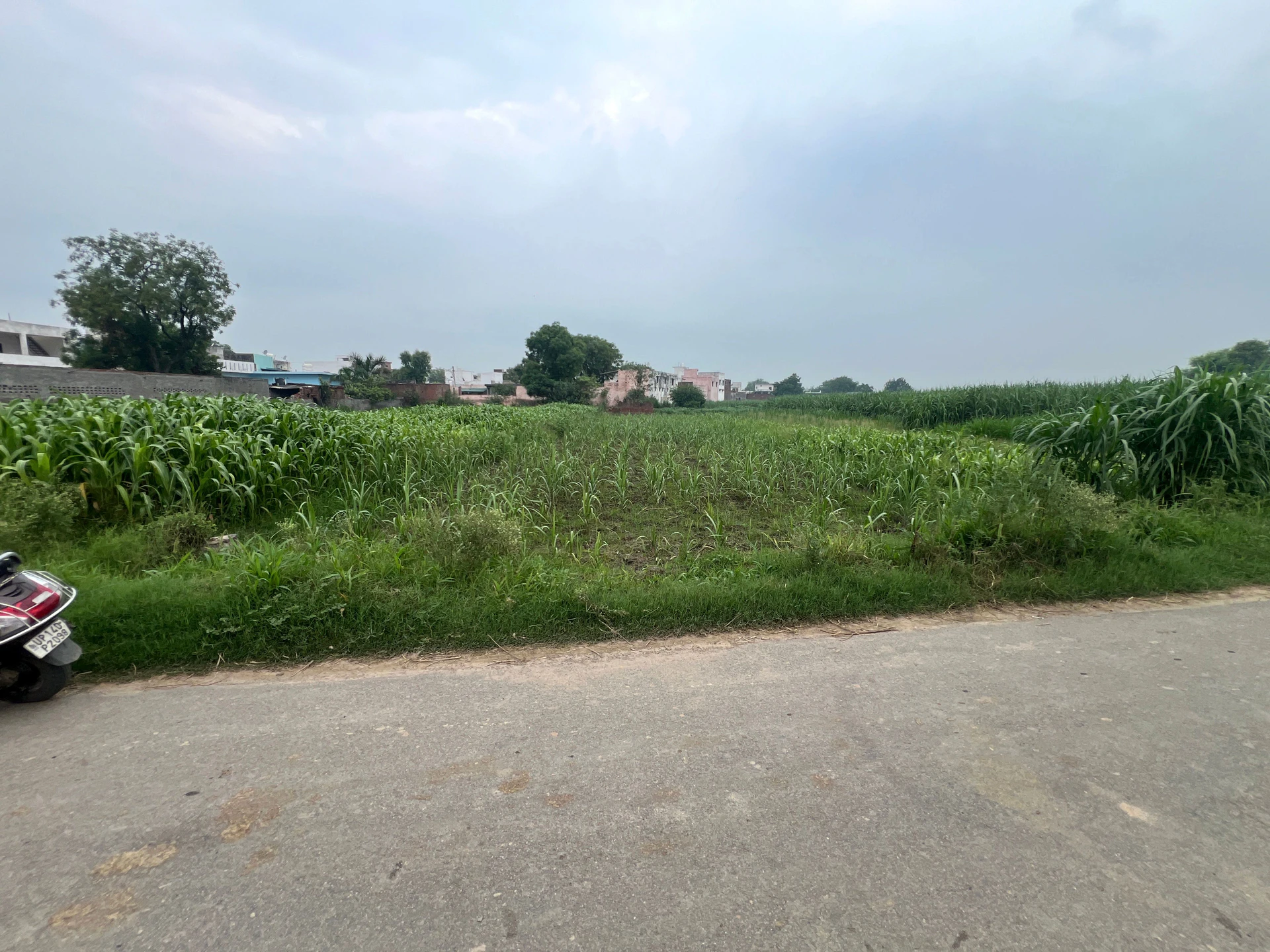 Modinagar, Uttar Pradesh, India