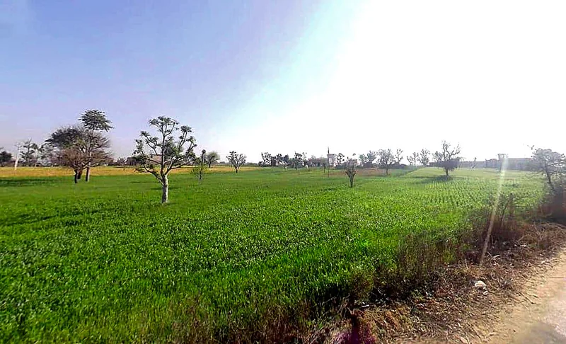 4X8Q+62V, Dheengpur, Rajasthan 332601, India preview 2