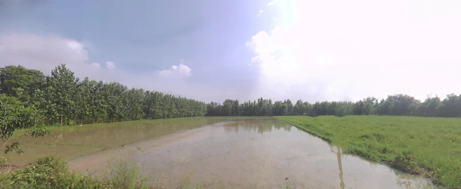 Biharigarh, Uttar Pradesh 247662, India