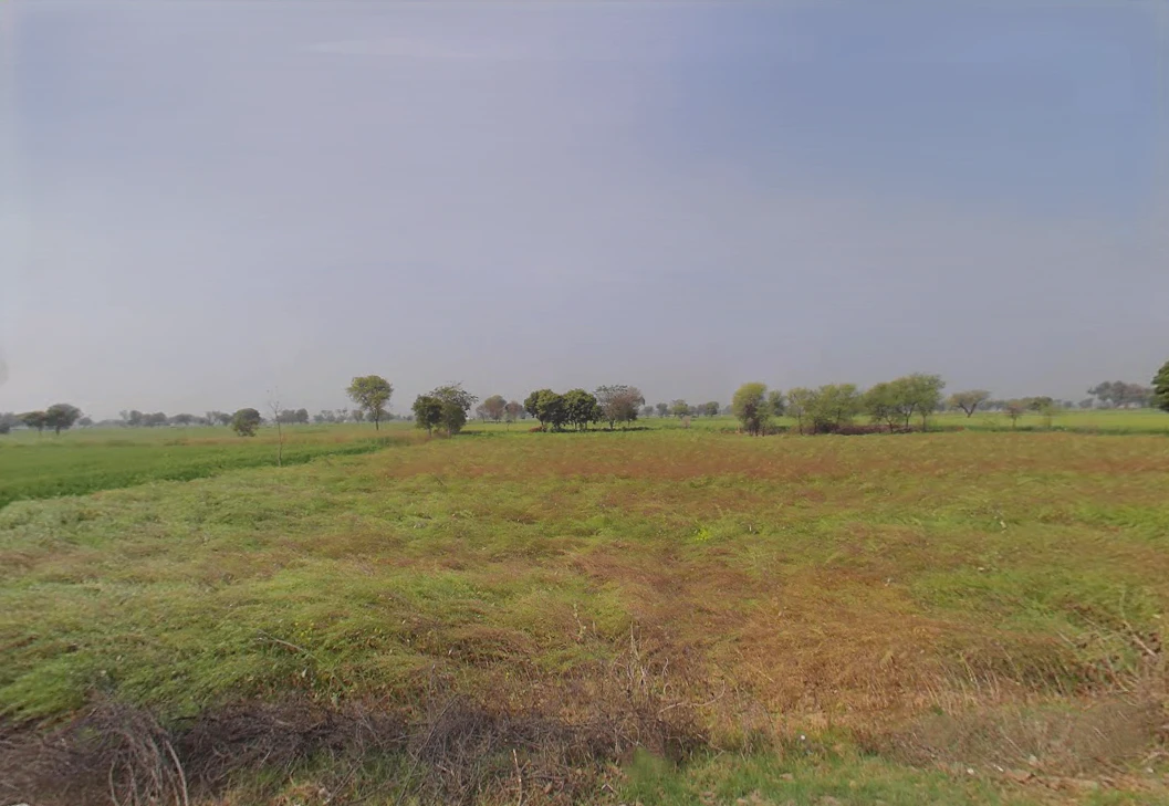 GVMQ+MQ9, Ladiyaka, Rajasthan, India