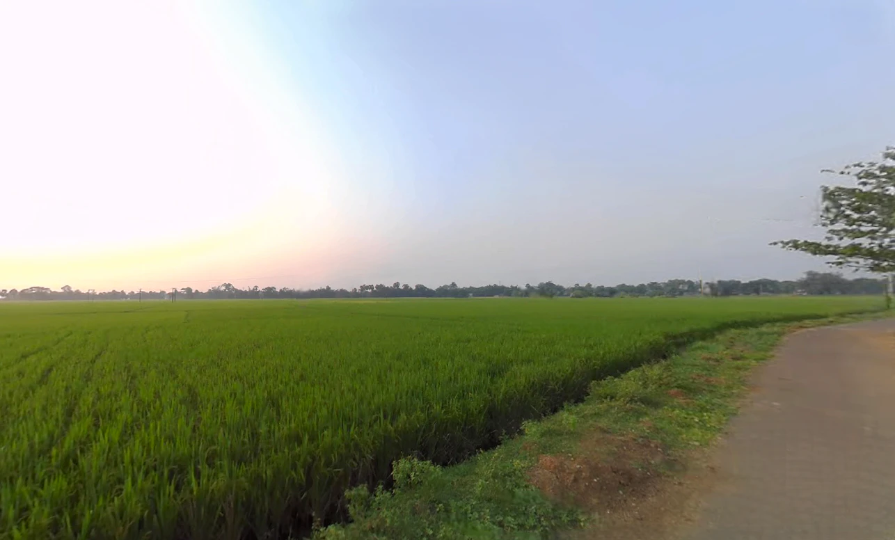 Action Area III, Chotto Chandpur, Newtown, New Town, West Bengal, India
