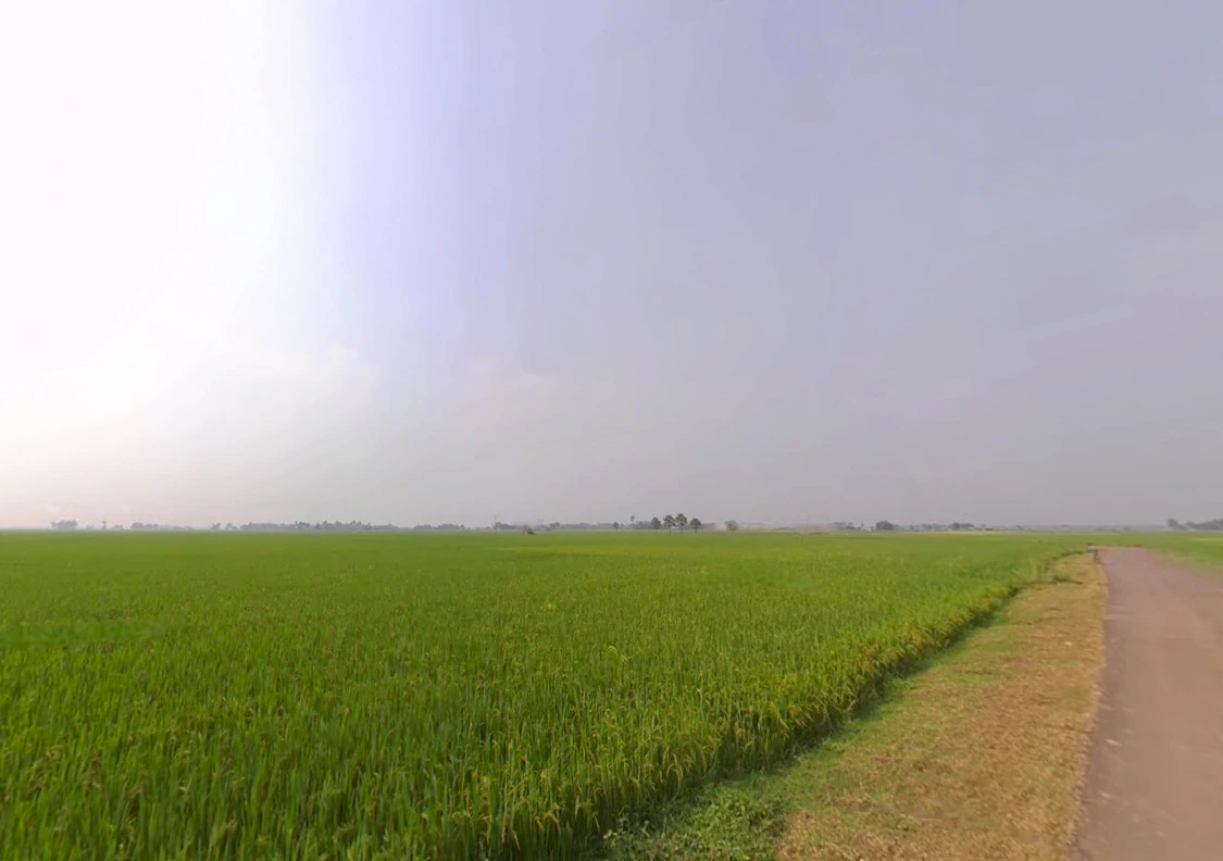 Shikarpur, West Bengal 713422, India