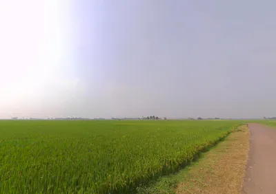 Shikarpur, West Bengal 713422, India preview 3