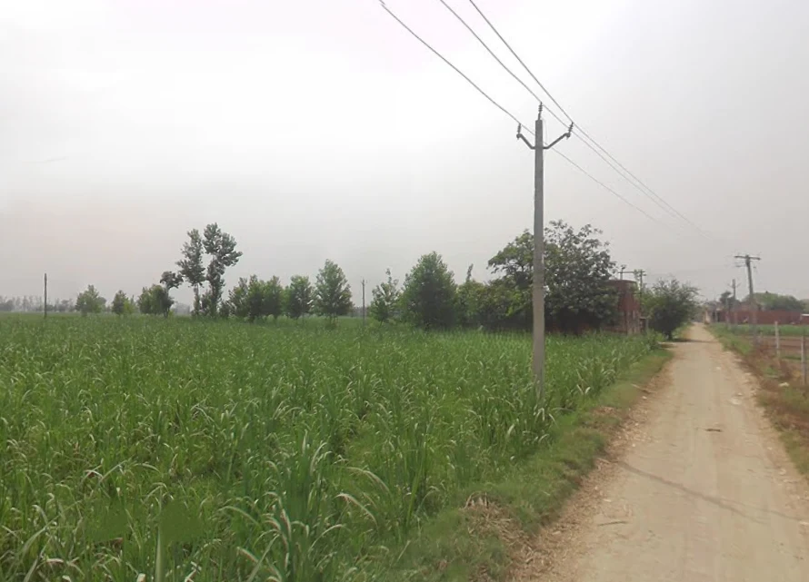 Pathanpura, Uttar Pradesh 250005, India