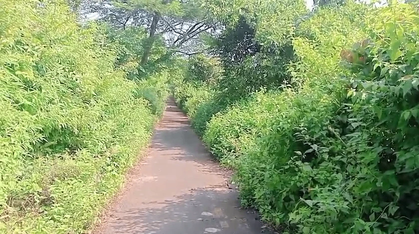 69X2+JGW, Raigad, Palasgaon Kh., Maharashtra, India