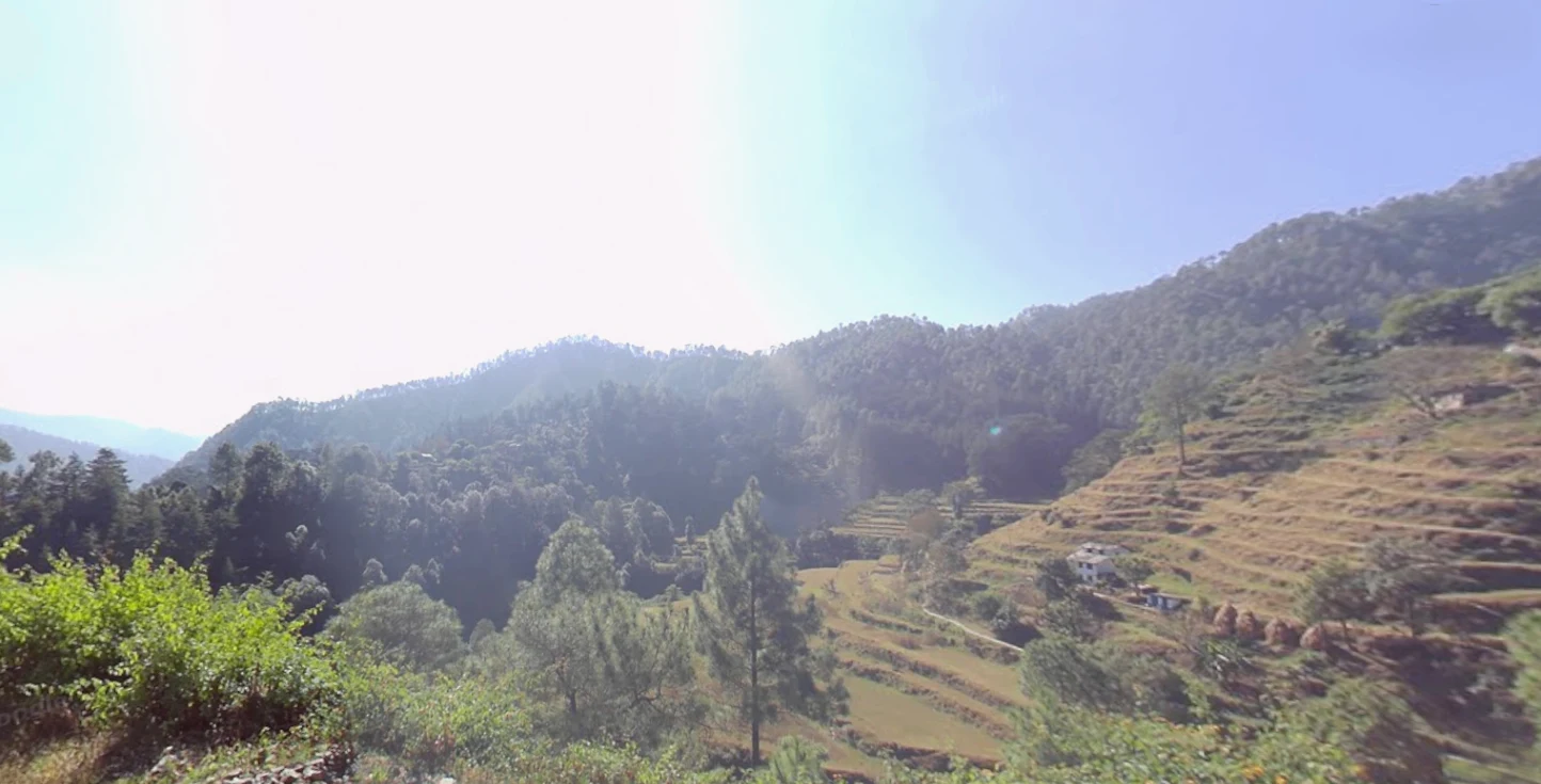 Munsyari, Uttarakhand 262554, India