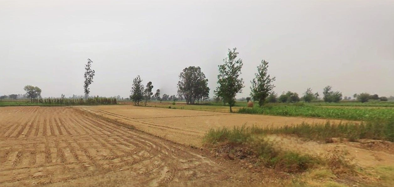 Jalesar, Uttar Pradesh 207302, India