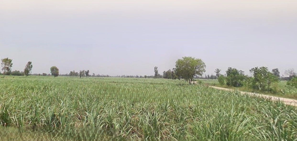 Lalganj, Uttar Pradesh 229206, India