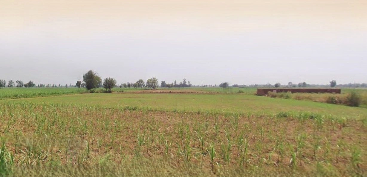 Lalganj, Uttar Pradesh 229206, India