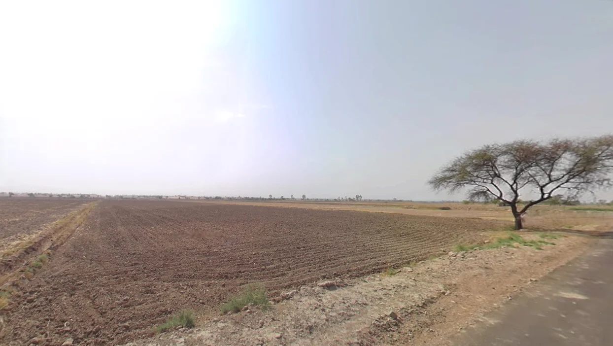 Sundana, Haryana 124412, India preview 2