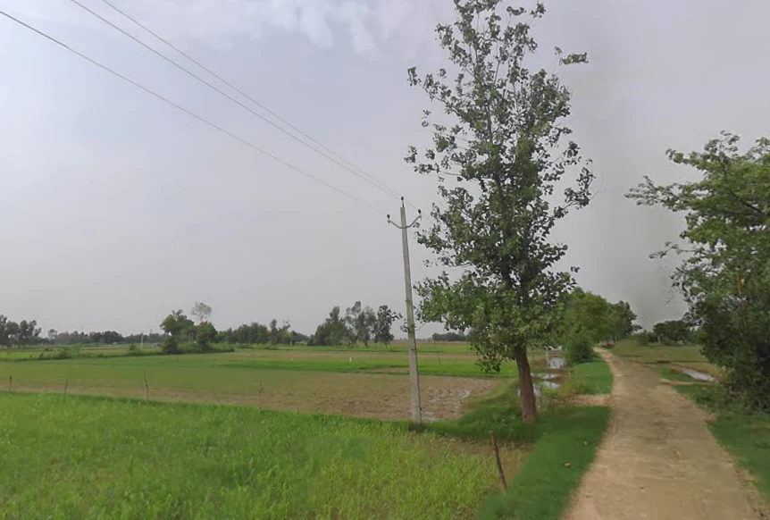 Papad Hamjapur, Uttar Pradesh 243635, India