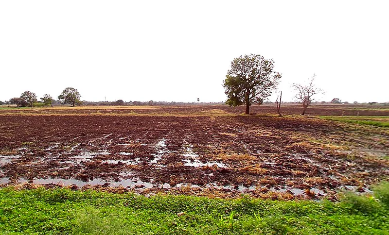 Sangvi, Madhya Pradesh 451221, India preview 2