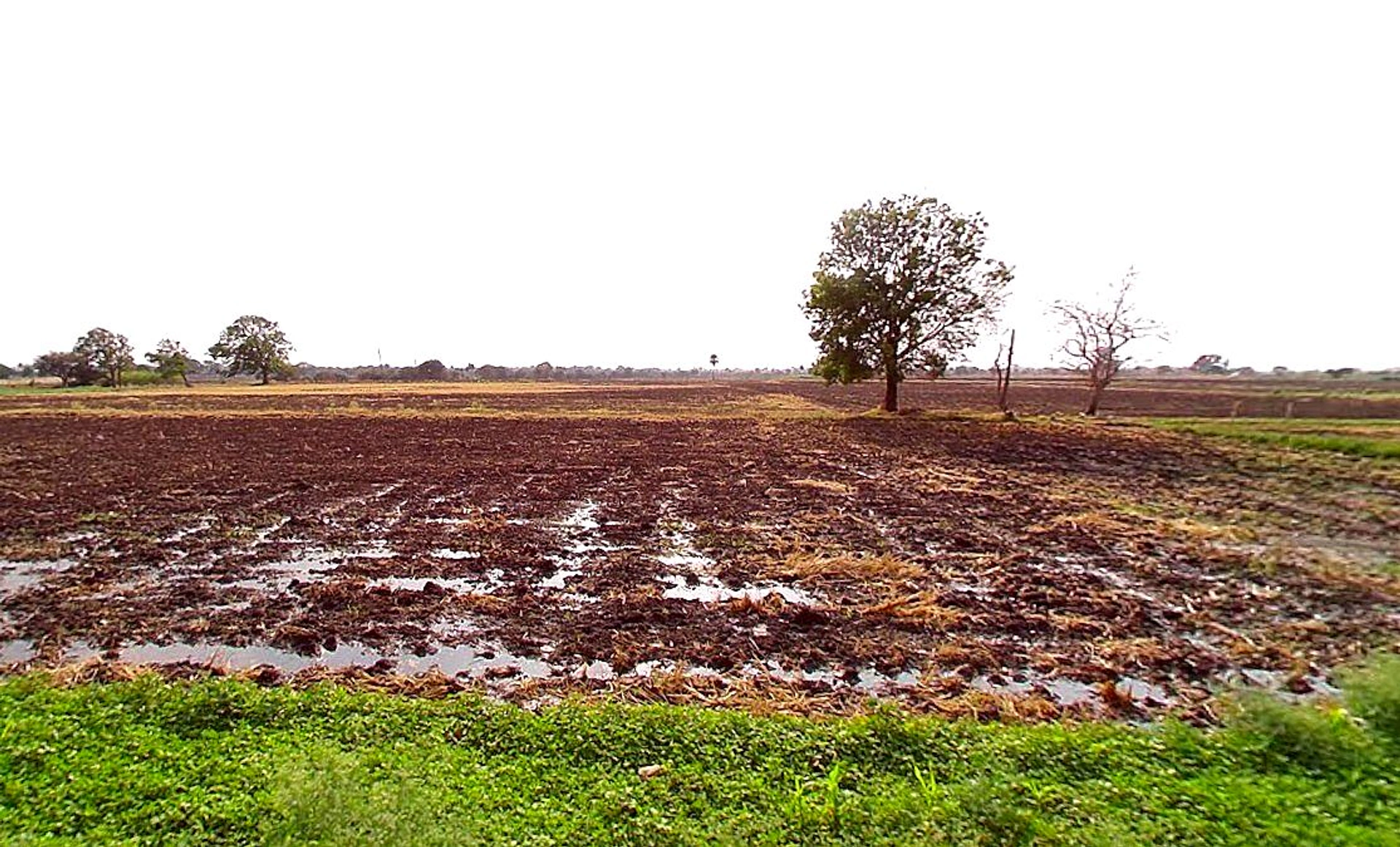 Sangvi, Madhya Pradesh 451221, India