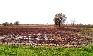 Sangvi, Madhya Pradesh 451221, India preview 2