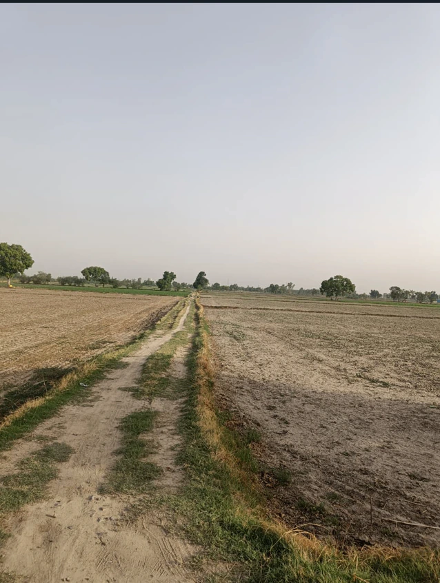 Kanadiya, Madhya Pradesh 452016, India