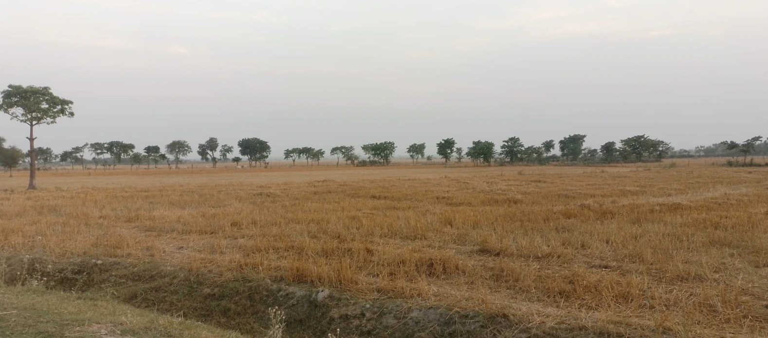 Mangli (Uchi), Ludhiana, Punjab, India