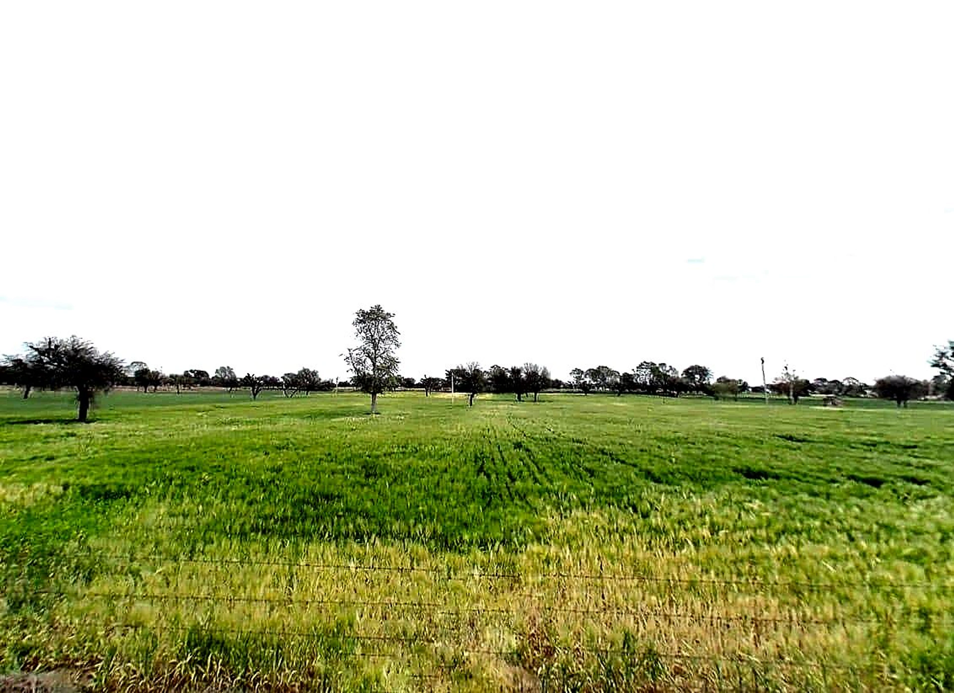 99FC+X45, Jhamawas, Rajasthan 332602, India