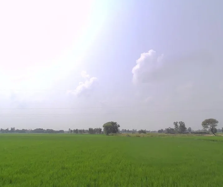 Shahpur, Uttar Pradesh 225301, India preview 3