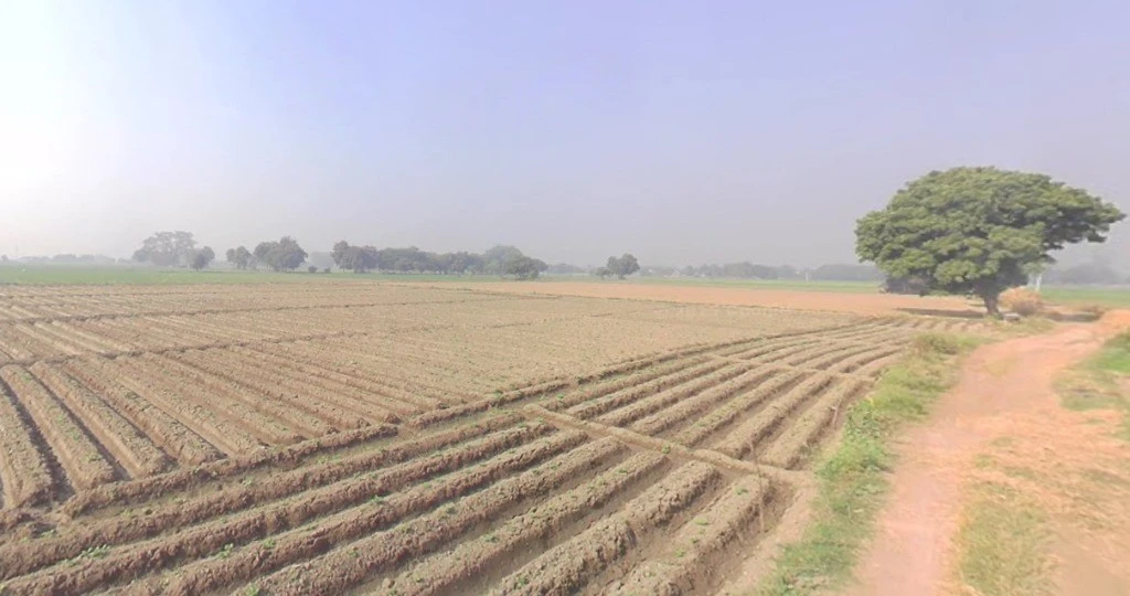 Meloj, Gujarat 384151, India