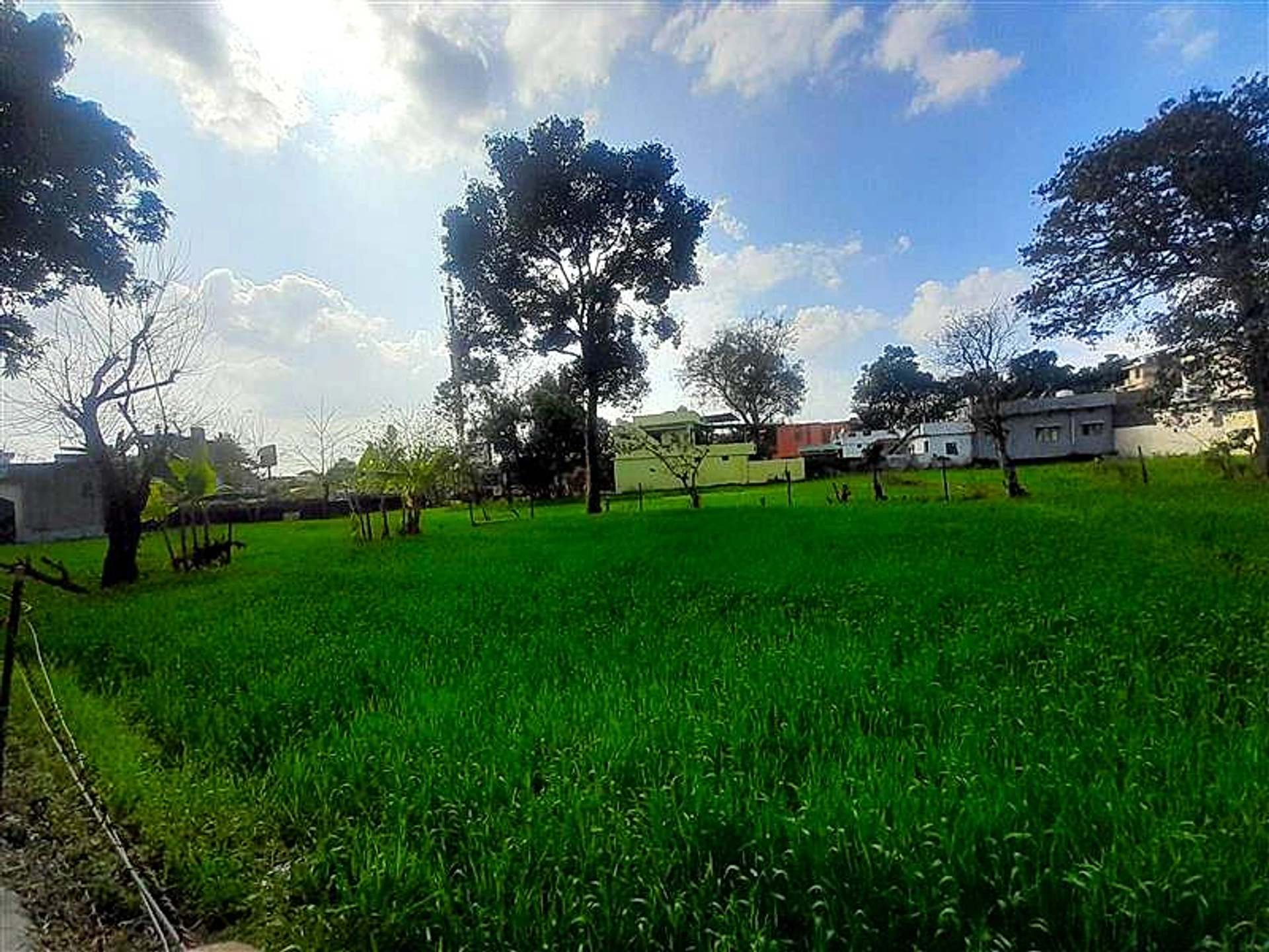 Singhniwala, Uttarakhand 248197, India