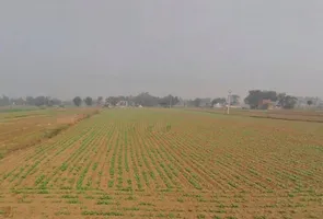 Jairoli, Rajasthan, India preview 3