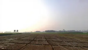 VF5F+HGP, Road, Kasba, Betauna, Bihar 854304, India preview 3