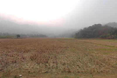 6WCJ+CM Burha Mayang Par, Assam, India preview 2