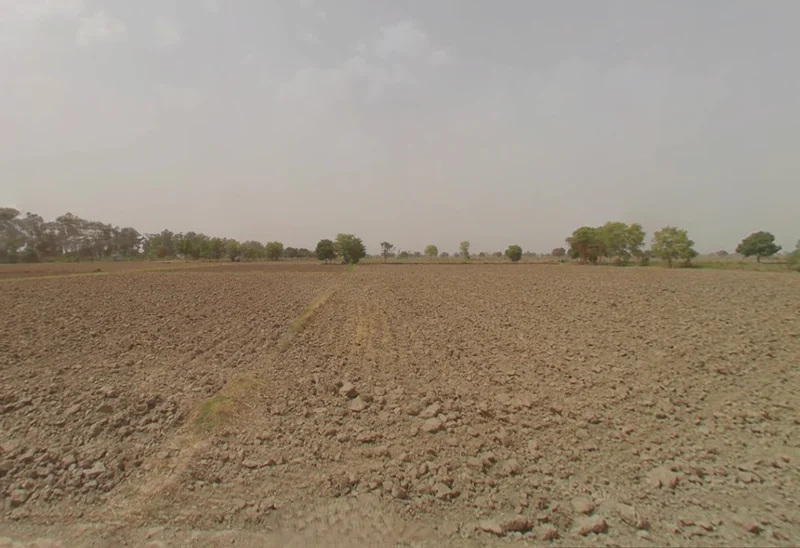 Gochhi, Haryana 124107, India preview 3